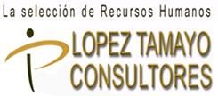 lopez tamayo consultores